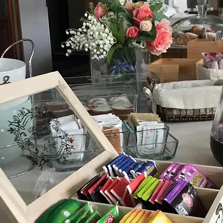 酒店 艾尔伯格德拉托雷酒店 切尔诺比奥