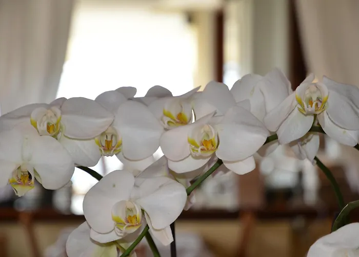 מלון Della Torre צ'רנוביו