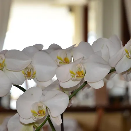 Hotel Della Torre Cernobbio